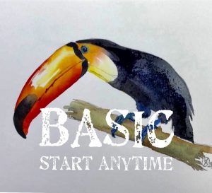 Toucan. Workshop. All skill levels. BASIC. Start anytime.