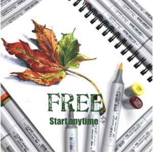 FREE BASIC alcohol markers tutorial MAPLE LEAF from Illustrative course Markers